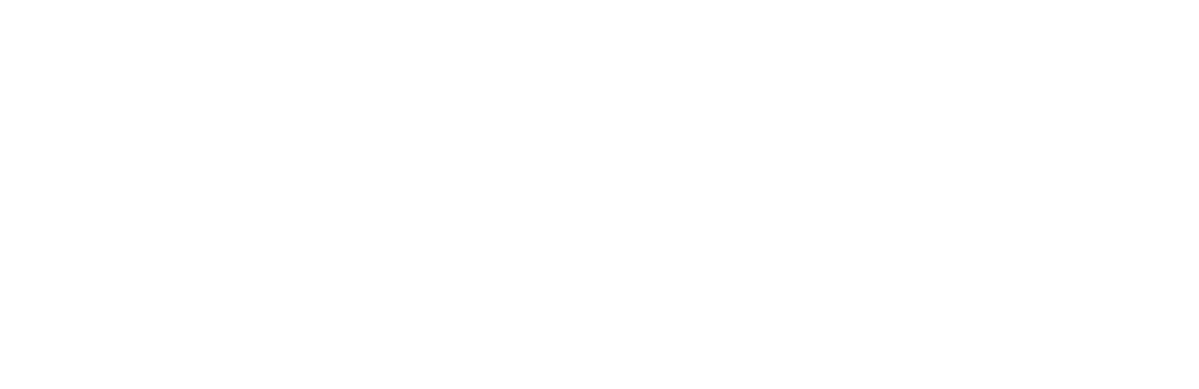 Logo Financial Solutions